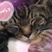 ヒメ日記 2025/11/25 19:42 投稿 村上　ゆい プルプル人妻専門店