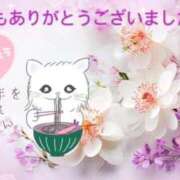 ヒメ日記 2025/12/31 21:00 投稿 村上　ゆい プルプル人妻専門店