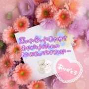 ヒメ日記 2026/01/24 19:10 投稿 村上　ゆい プルプル人妻専門店