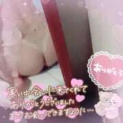 ヒメ日記 2026/03/17 07:01 投稿 村上　ゆい プルプル人妻専門店