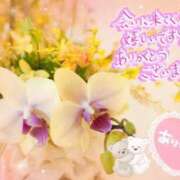 ヒメ日記 2026/04/08 07:07 投稿 村上　ゆい プルプル人妻専門店