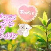 ヒメ日記 2026/05/04 08:18 投稿 村上　ゆい プルプル人妻専門店