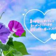 ヒメ日記 2026/07/29 00:15 投稿 村上　ゆい プルプル人妻専門店