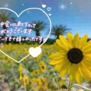 ヒメ日記 2026/07/31 14:15 投稿 村上　ゆい プルプル人妻専門店