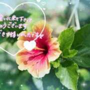 ヒメ日記 2026/08/13 10:55 投稿 村上　ゆい プルプル人妻専門店
