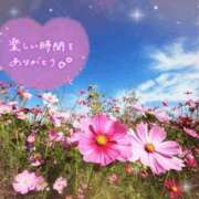 ヒメ日記 2026/10/11 14:45 投稿 村上　ゆい プルプル人妻専門店