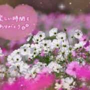 ヒメ日記 2026/10/12 19:30 投稿 村上　ゆい プルプル人妻専門店