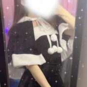 ヒメ日記 2024/12/23 08:12 投稿 きらり 大阪はまちゃん 谷九店