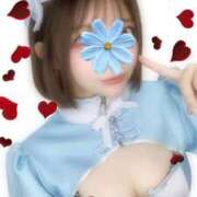 ヒメ日記 2025/01/29 11:02 投稿 きらり 大阪はまちゃん 谷九店