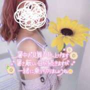 ヒメ日記 2025/08/13 16:22 投稿 きらり 大阪はまちゃん 谷九店