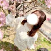 ヒメ日記 2026/03/12 16:12 投稿 きらり 手コキ＆オナクラ 大阪はまちゃん 谷九店