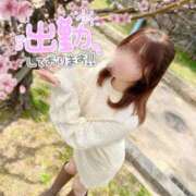 ヒメ日記 2026/04/17 16:22 投稿 きらり 手コキ＆オナクラ 大阪はまちゃん 谷九店