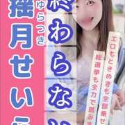 ヒメ日記 2024/11/16 22:20 投稿 せいら 逆電車ごっこ ～GLAMOROUS TRAIN～