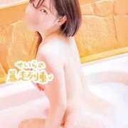 ヒメ日記 2024/12/14 19:10 投稿 せいら 逆電車ごっこ ～GLAMOROUS TRAIN～