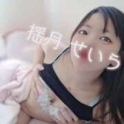 ヒメ日記 2024/12/21 20:20 投稿 せいら 逆電車ごっこ ～GLAMOROUS TRAIN～