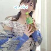 ヒメ日記 2025/01/09 16:20 投稿 せいら 逆電車ごっこ ～GLAMOROUS TRAIN～