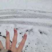 ヒメ日記 2025/02/08 14:20 投稿 せいら 逆電車ごっこ ～GLAMOROUS TRAIN～