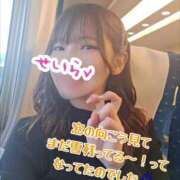 ヒメ日記 2025/02/12 09:30 投稿 せいら 逆電車ごっこ ～GLAMOROUS TRAIN～