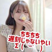 ヒメ日記 2025/07/11 15:00 投稿 せいら 逆電車ごっこ ～GLAMOROUS TRAIN～