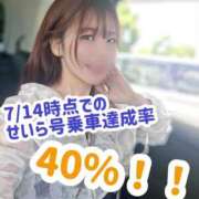 ヒメ日記 2025/07/15 12:40 投稿 せいら 逆電車ごっこ ～GLAMOROUS TRAIN～