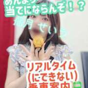 ヒメ日記 2025/07/31 13:50 投稿 せいら 逆電車ごっこ ～GLAMOROUS TRAIN～