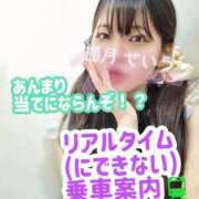 ヒメ日記 2025/08/24 13:40 投稿 せいら 逆電車ごっこ ～GLAMOROUS TRAIN～