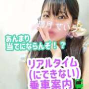 ヒメ日記 2025/09/25 16:00 投稿 せいら 逆電車ごっこ ～GLAMOROUS TRAIN～