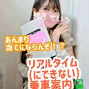 ヒメ日記 2025/10/08 18:50 投稿 せいら 逆電車ごっこ ～GLAMOROUS TRAIN～