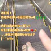ヒメ日記 2025/10/23 14:30 投稿 せいら 逆電車ごっこ ～GLAMOROUS TRAIN～