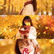 ヒメ日記 2025/11/11 14:20 投稿 せいら 逆電車ごっこ ～GLAMOROUS TRAIN～