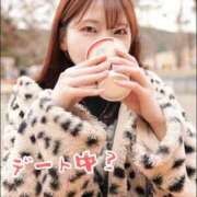 ヒメ日記 2025/12/29 22:30 投稿 せいら 逆電車ごっこ ～GLAMOROUS TRAIN～