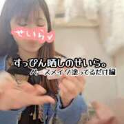 ヒメ日記 2026/01/17 11:10 投稿 せいら 逆電車ごっこ ～GLAMOROUS TRAIN～