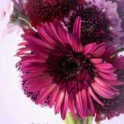 ヒメ日記 2026/04/18 14:20 投稿 まどか 熟女の風俗最終章 西川口店