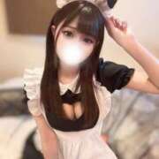 ヒメ日記 2026/04/19 01:49 投稿 あみり【美女度プライスレス】 STELLA TOKYO－ステラトウキョウ－