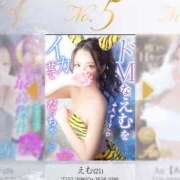 ヒメ日記 2026/02/24 19:51 投稿 えむ キラキラ大阪