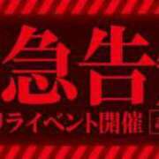 ヒメ日記 2024/06/14 15:44 投稿 りりむ 白いぽっちゃりさん