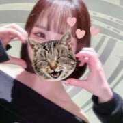 ヒメ日記 2025/04/14 16:40 投稿 あん 舐めフェチの会