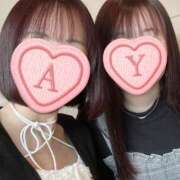 ヒメ日記 2025/04/17 12:02 投稿 あん 舐めフェチの会