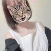 ヒメ日記 2025/04/29 10:01 投稿 あん 舐めフェチの会