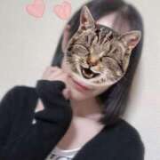 ヒメ日記 2025/05/17 11:00 投稿 あん 舐めフェチの会