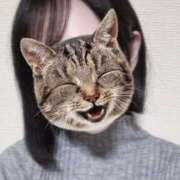 ヒメ日記 2025/05/18 12:00 投稿 あん 舐めフェチの会