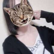 あん 🐈嬉しいなっ🐾 舐めフェチの会