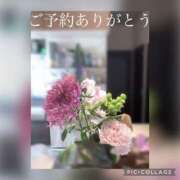 ヒメ日記 2025/03/12 19:04 投稿 波多野カノン 成田快楽Ｍ性感倶楽部～前立腺マッサージ専門～