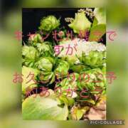 ヒメ日記 2025/03/13 15:44 投稿 波多野カノン 成田快楽Ｍ性感倶楽部～前立腺マッサージ専門～