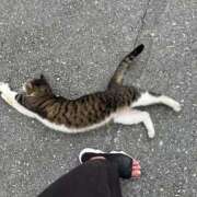 ヒメ日記 2025/07/03 18:05 投稿 波多野カノン 成田快楽Ｍ性感倶楽部～前立腺マッサージ専門～