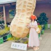 ヒメ日記 2026/08/05 14:24 投稿 波多野カノン 成田快楽Ｍ性感倶楽部～前立腺マッサージ専門～