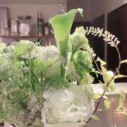 ヒメ日記 2025/03/14 20:24 投稿 波多野カノン 癒したくて成田店～日本人アロマ性感～