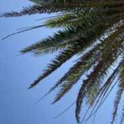 ヒメ日記 2025/05/11 15:44 投稿 波多野カノン 癒したくて成田店～日本人アロマ性感～