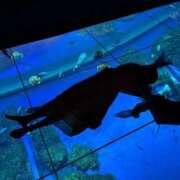 ヒメ日記 2025/10/06 13:24 投稿 波多野カノン 癒したくて成田店～日本人アロマ性感～