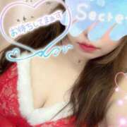 ヒメ日記 2024/12/30 01:03 投稿 しほ ちゃんこ大阪伊丹空港豊中店